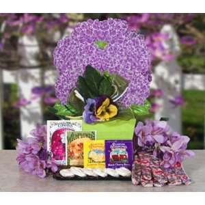 Lilacs Gift Box Gourmet Food Gift Basket Grocery & Gourmet Food