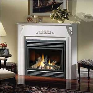  Bundle 42 BGD36NTR Direct Vent Gas Fireplace Finishing 