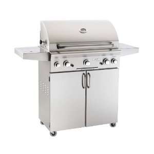  American Outdoor Grills 30PC 00SP Stainless Steel Portable 