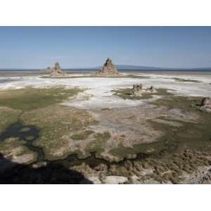  Desolate Landscape of Lac Abbe, Dotted with Limestone 