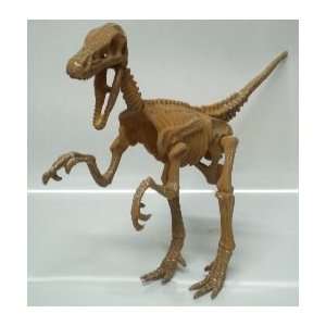   Dinosaur Skeleton Fossil Model Old Weathered Look Toys & Games