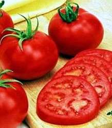Big Girl Tomato 4 Plants   Heavy Producer  
