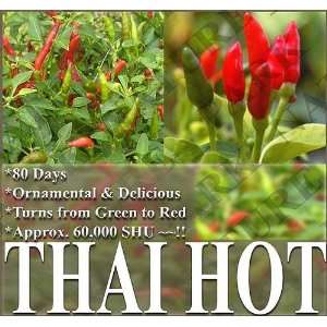com 1,000 THAI HOT PEPPER seeds FOR GARDEN POTS delicious ornamental 