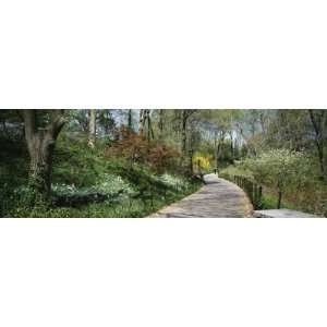  Walkway in a Park, Central Park, Manhattan, New York, USA 