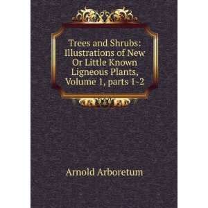 Trees and Shrubs Illustrations of New Or Little Known Ligneous Plants 