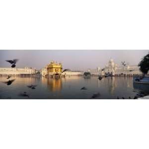  of a Temple in a Lake, Golden Temple, Amritsar, Punjab, India 