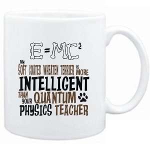 Mug White  My Soft Coated Wheaten Terrier is more intelligent than 