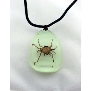   in the Dark Spiny Spider Pendant for Halloween Costumes Toys & Games