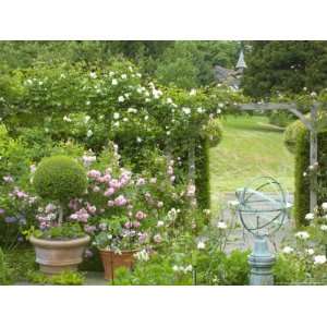  Rose Garden with Wooden Trellis, Little Malvern Court 